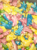 Kingsway Fishes