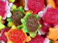 Jelly-Filled Turtles