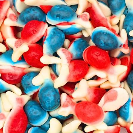 Jelly-Filled Whales